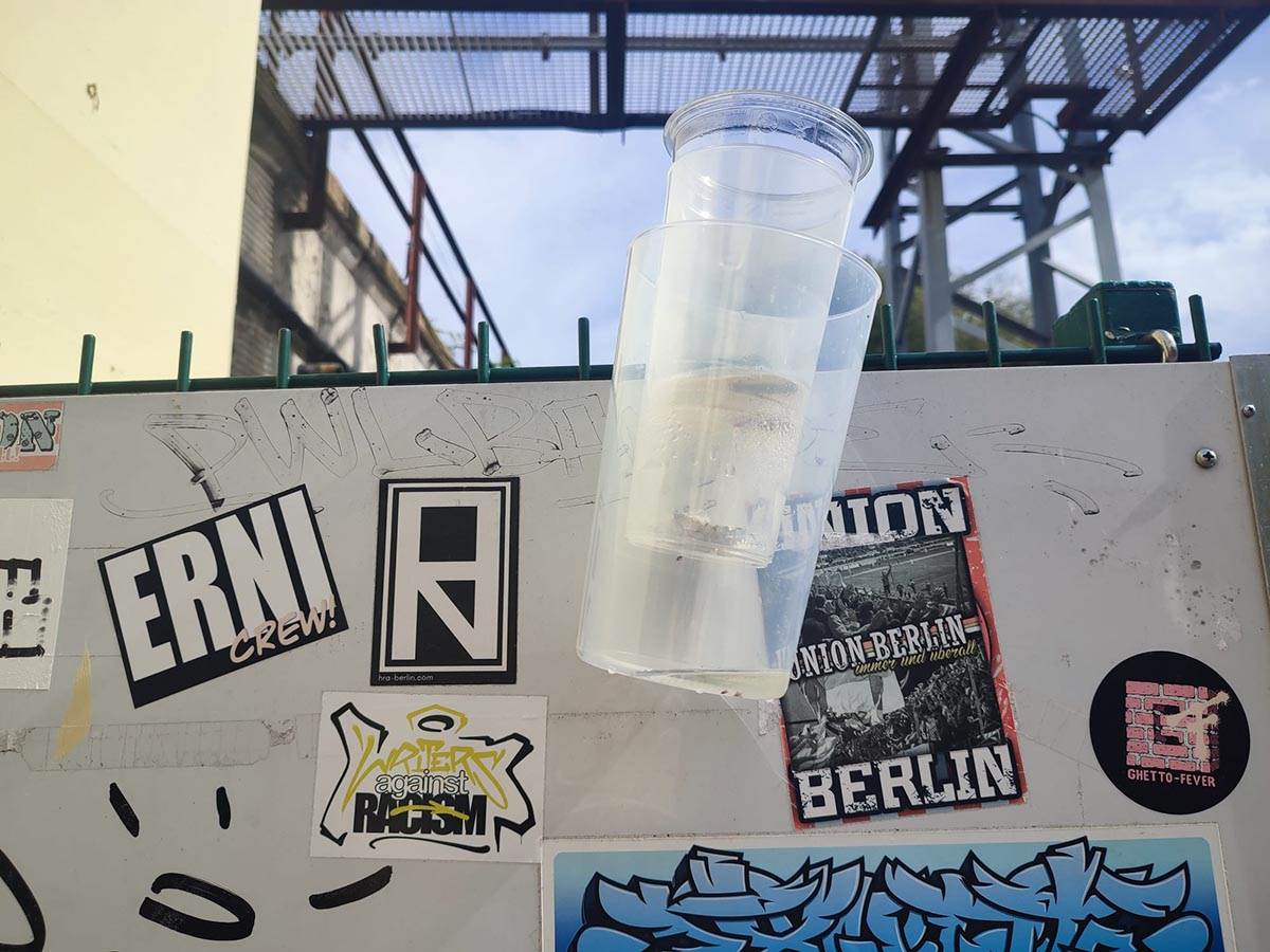 WhatsApp Image 2022-09-15 at 13.14.48.jpg