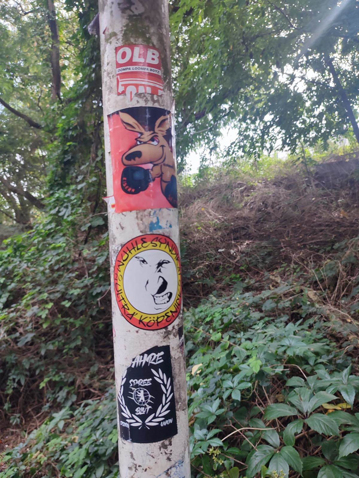 WhatsApp Image 2022-09-15 at 13.14.54.jpg