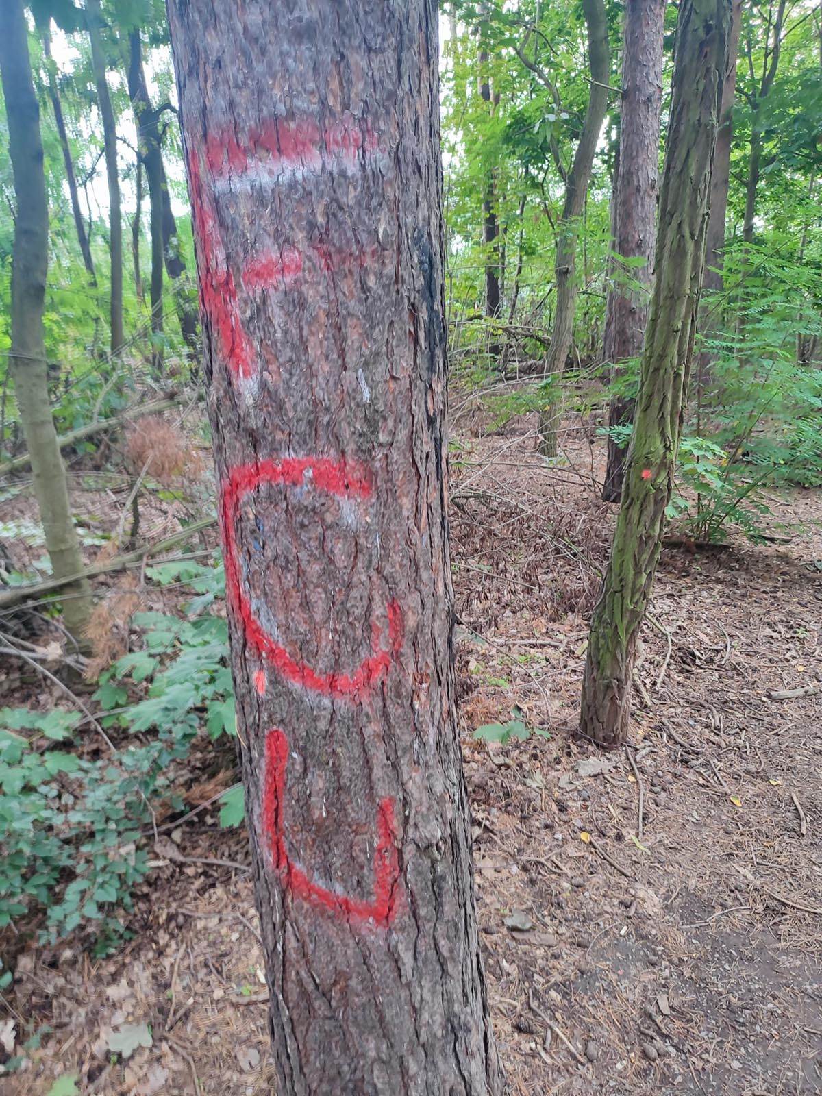 WhatsApp Image 2022-09-15 at 13.16.41 (2).jpg