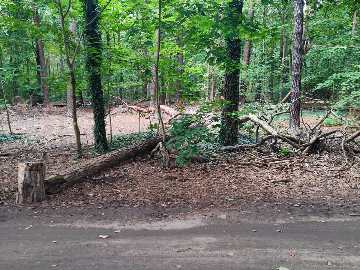 WhatsApp Image 2022-09-15 at 13.16.43 (1).jpg