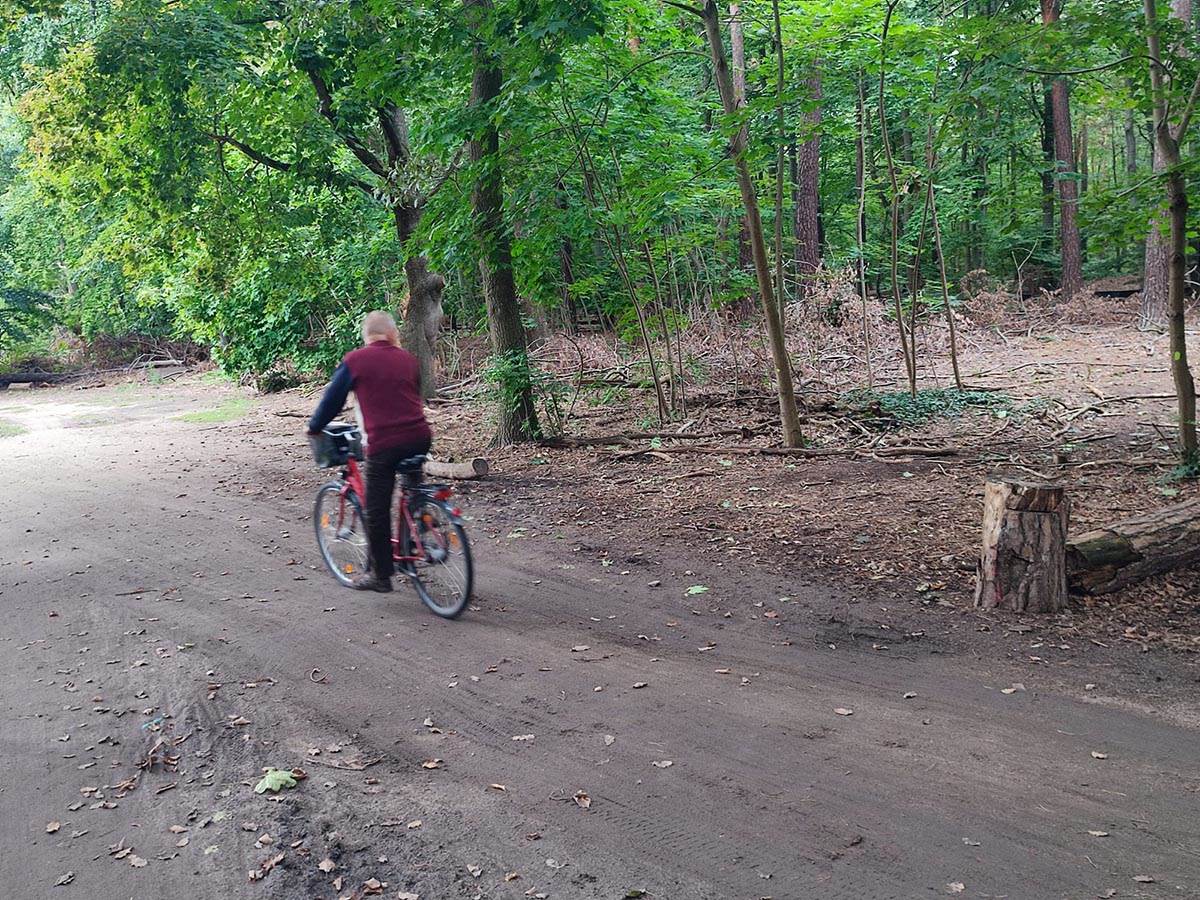 WhatsApp Image 2022-09-15 at 13.16.43 (2).jpg