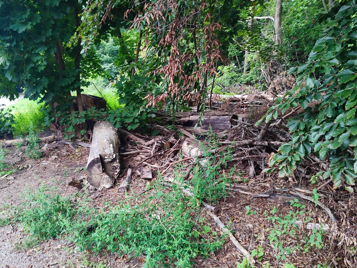 WhatsApp Image 2022-09-15 at 13.16.43 (3).jpg