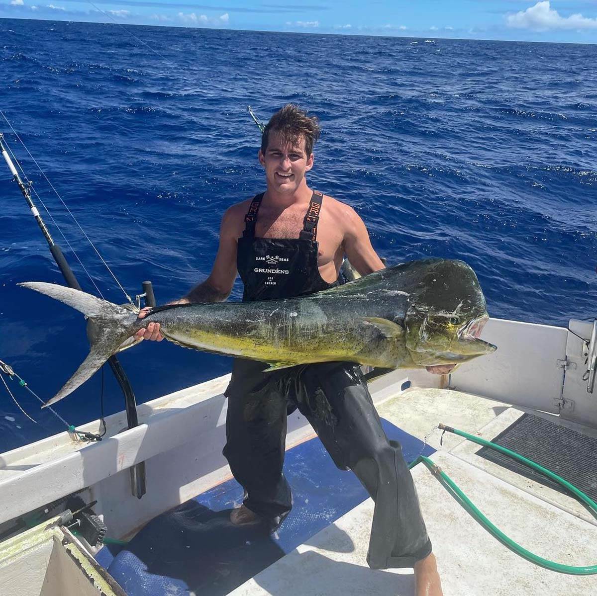 Kalani dejvid  (3).jpg