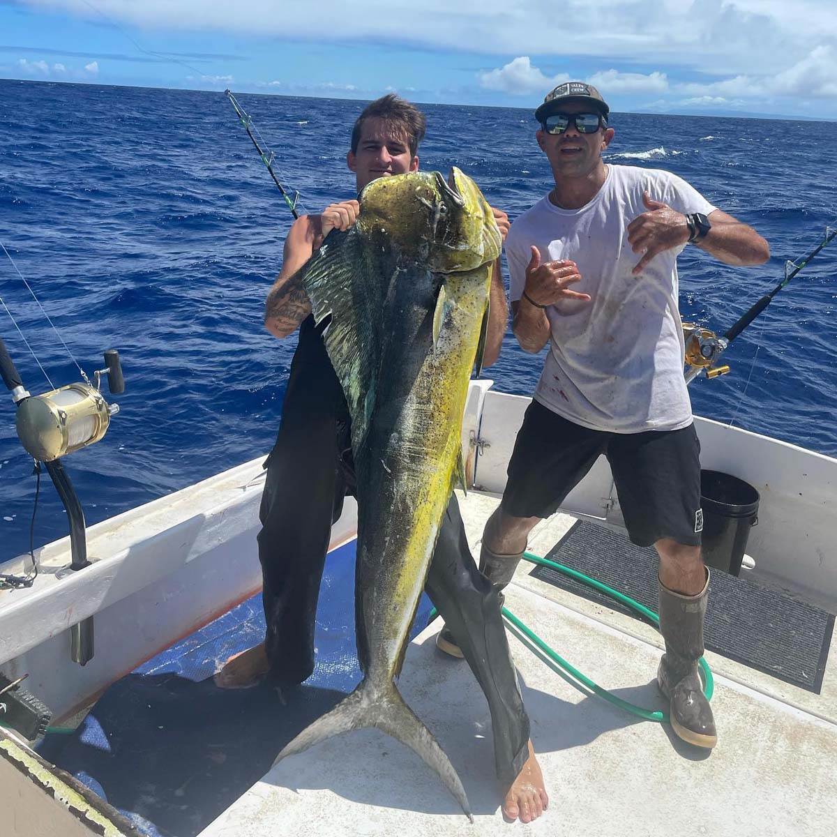 Kalani dejvid  (4).jpg