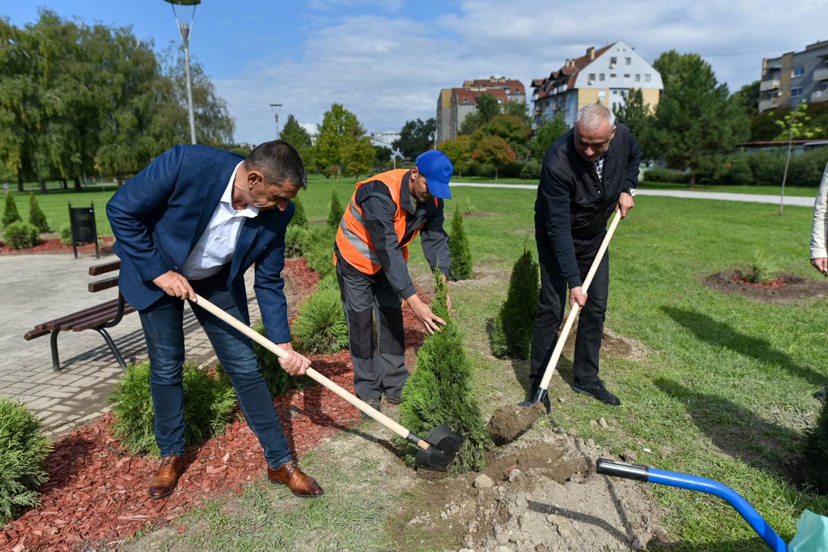 U SUBOTICI POSAĐENO 75 SADNICA ČETINARA: U akciji učestvovao i gradonačelnik Stevan Bakić! (FOTO)