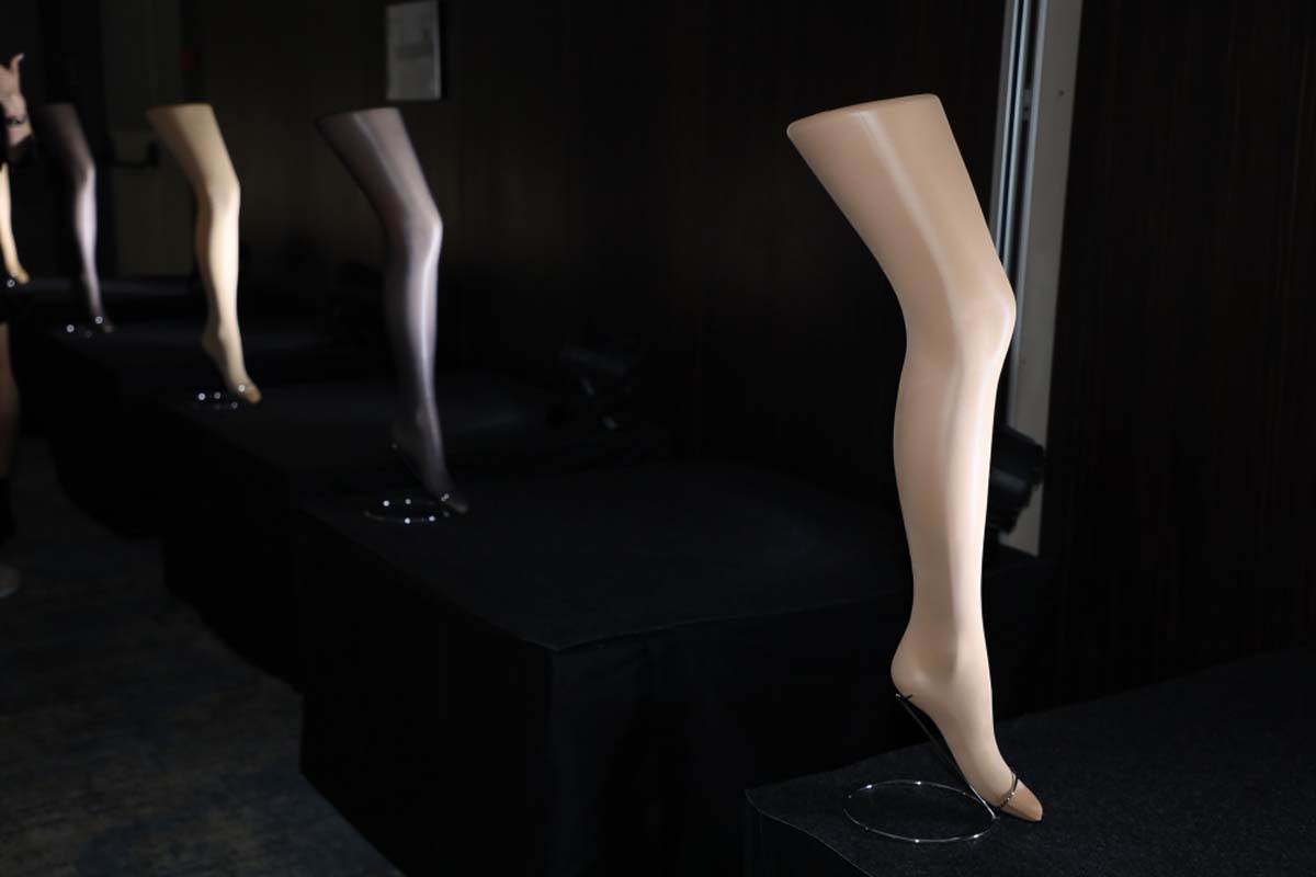 Lepa Brena promocija  (2).jpg