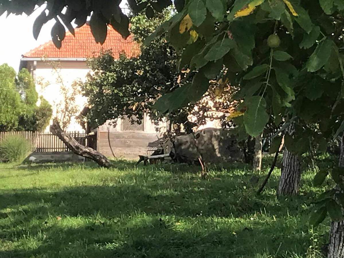 žena porodila polila benzinom rina  (3).jpg