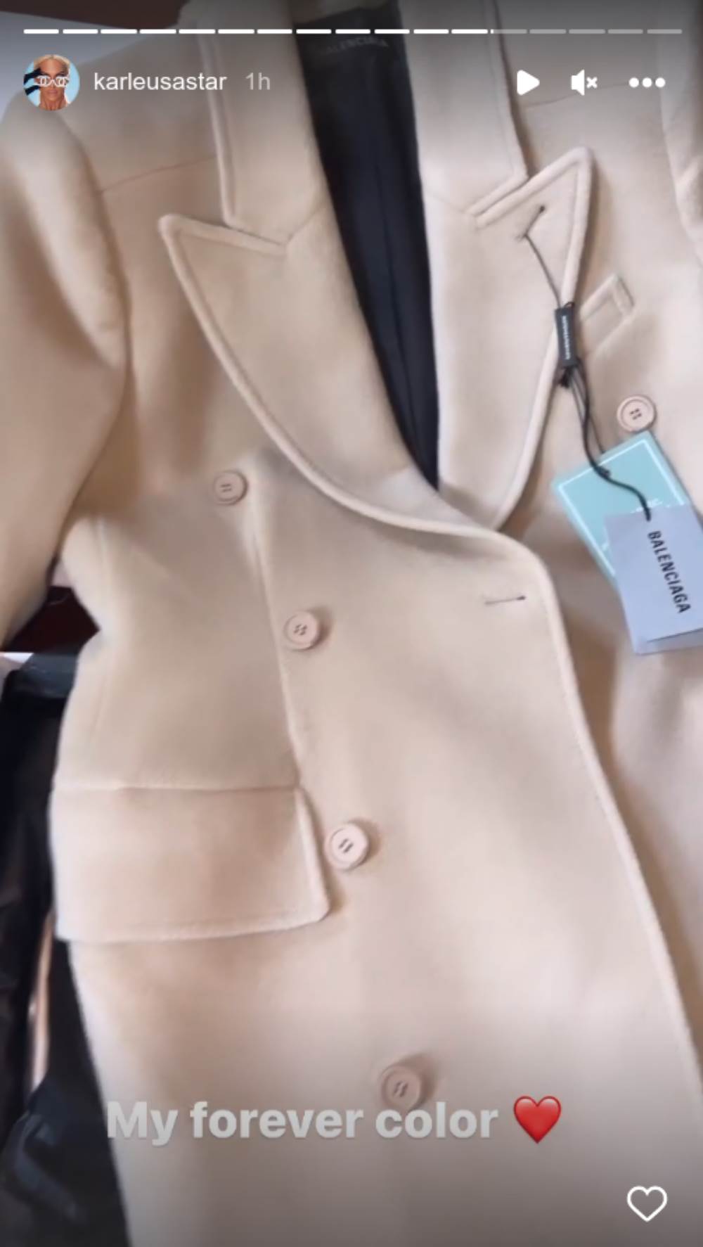 jelena karleuša kaput.png