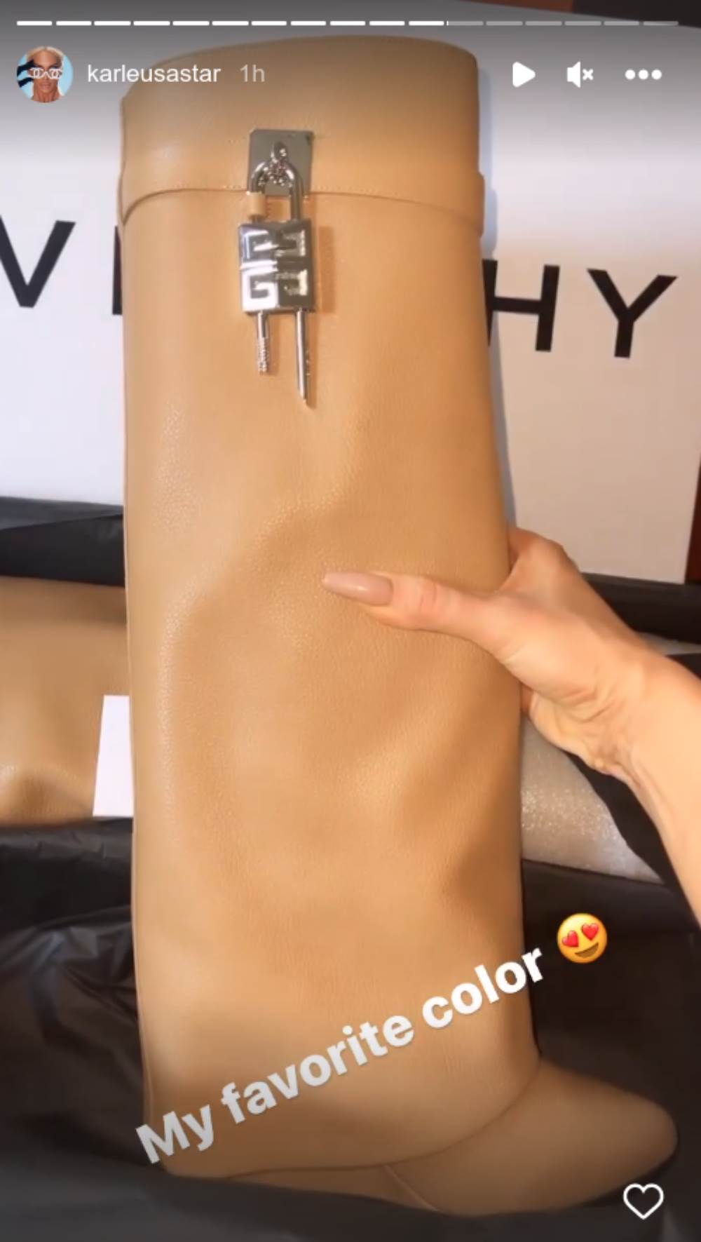 jelena karleuša čizme.png