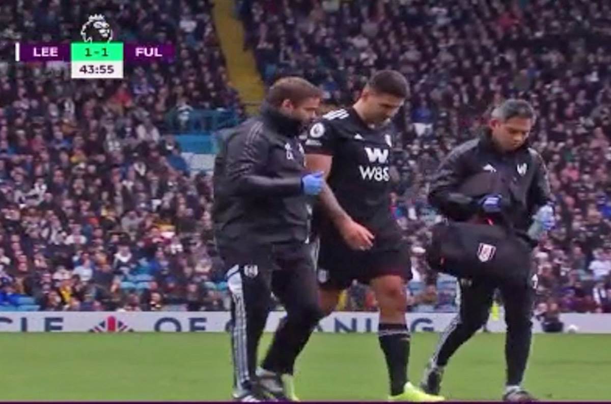 Mitrovic povreda (2).jpg