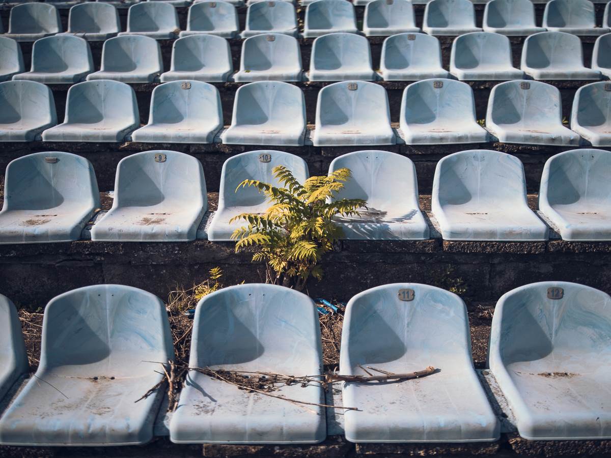 Zvezdan Terzić o OFK Beogradu