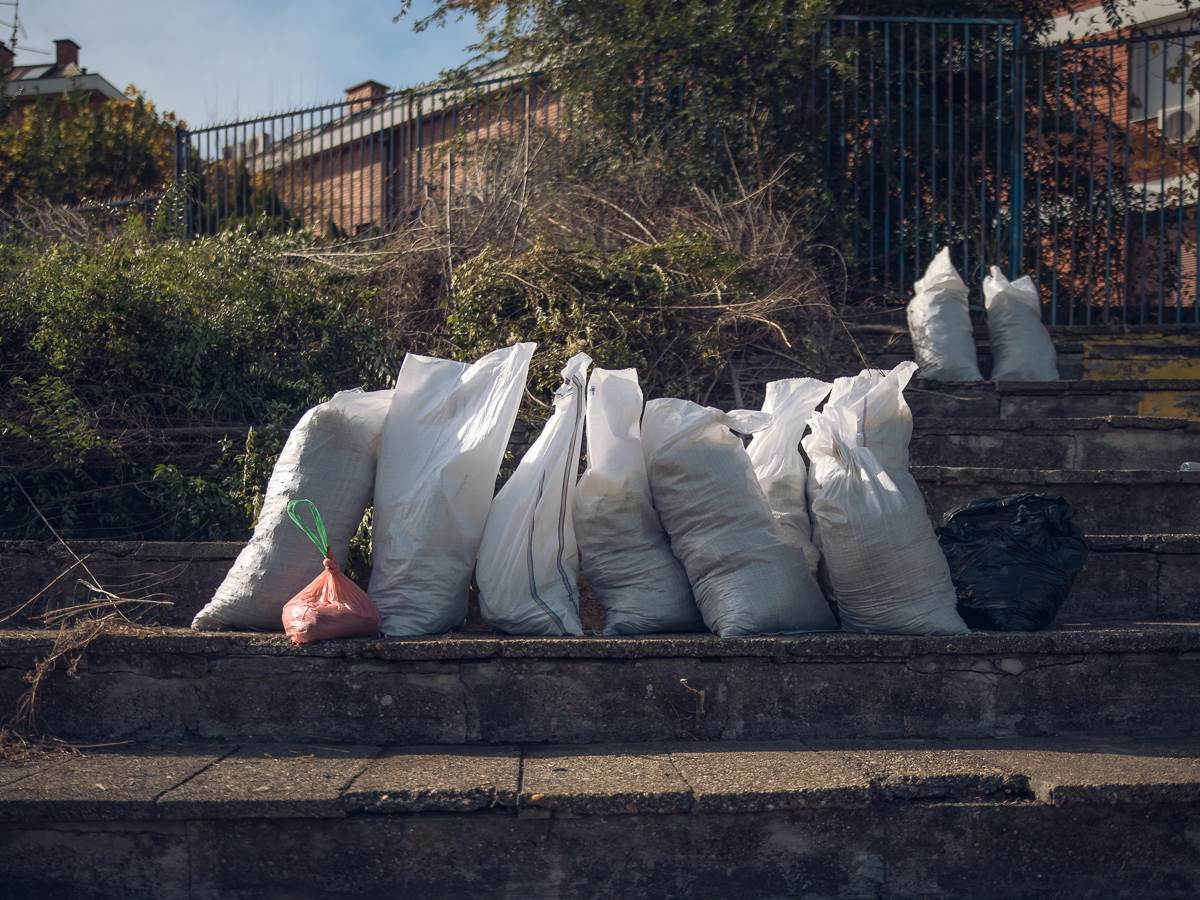Zvezdan Terzić o OFK Beogradu