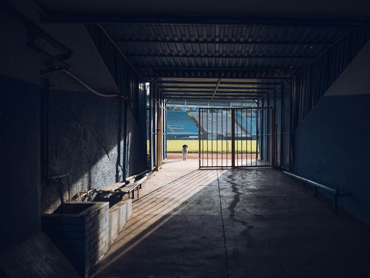 Zvezdan Terzić o OFK Beogradu