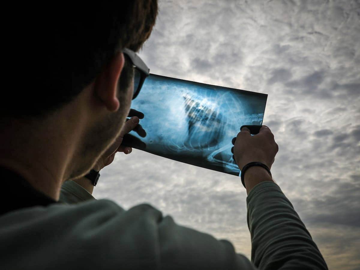 Kada će iz Srbije ponovo biti vidljivo pomračenje Sunca