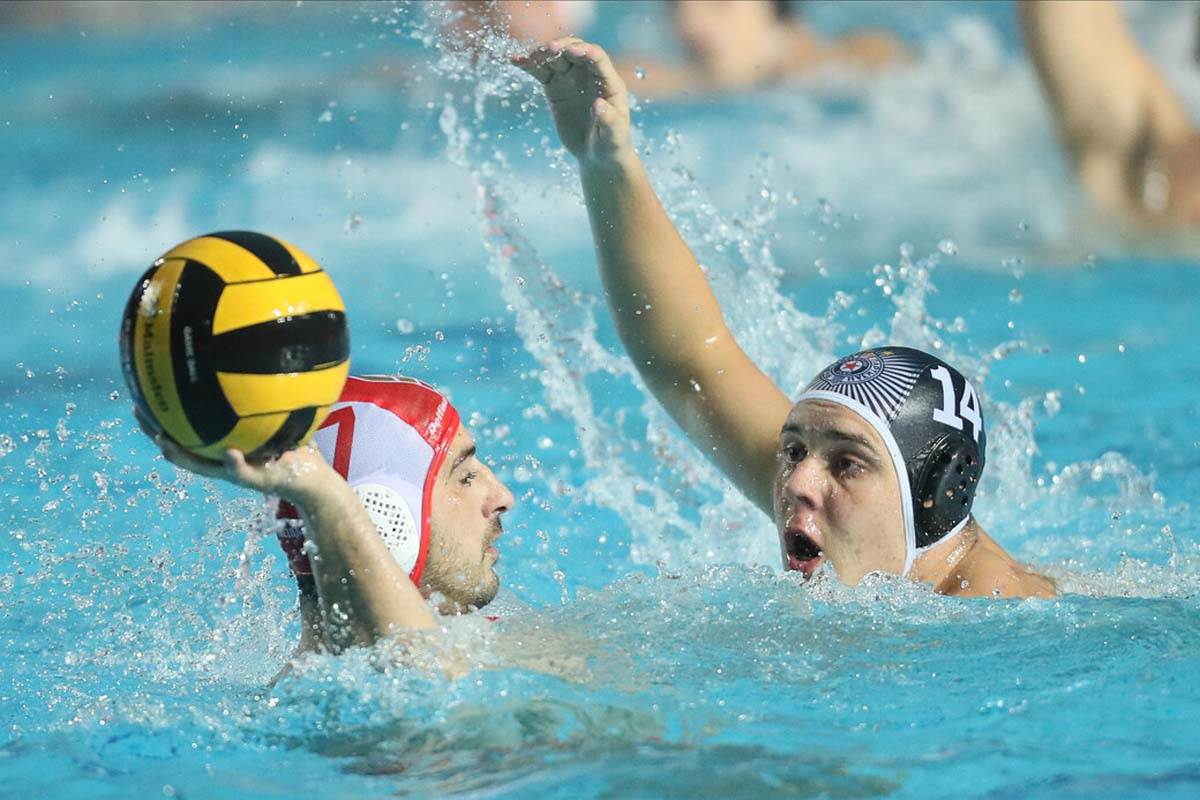 Vaterpolo Partizan Zvezda a (15).jpg