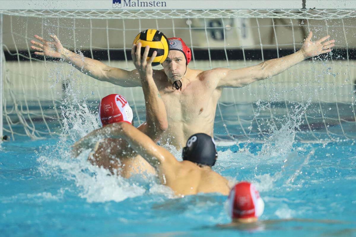 Vaterpolo Partizan Zvezda a (17).jpg