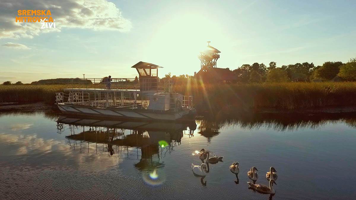 MAČVANSKI BISER PRIRODE OBELEŽAVA 25 GODINA OD PRONALASKA