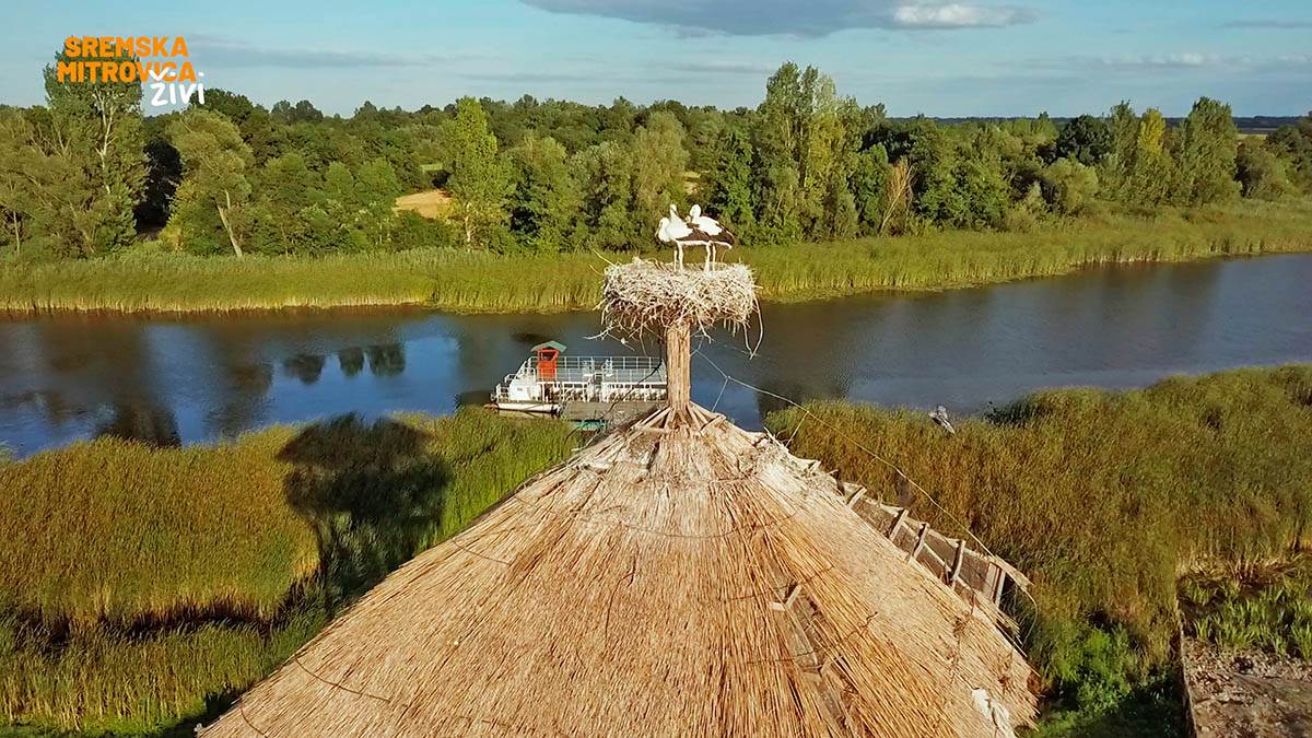 MAČVANSKI BISER PRIRODE OBELEŽAVA 25 GODINA OD PRONALASKA