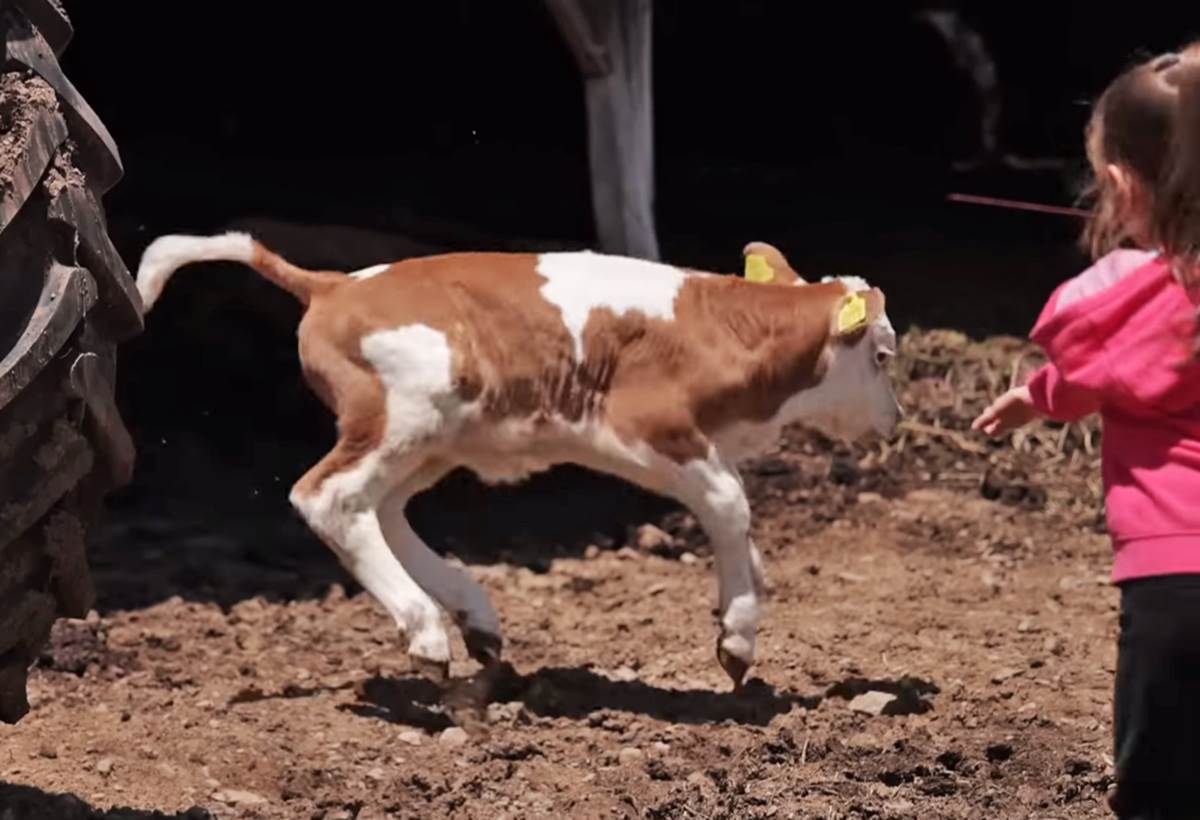 Nemanja Popovic (4).png