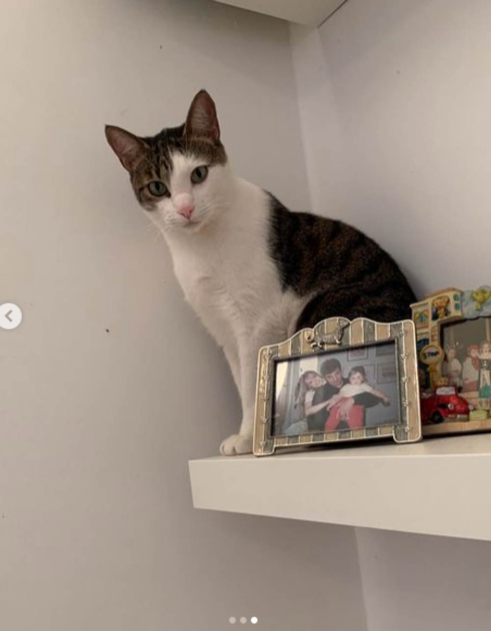 anica dobra stan5.png