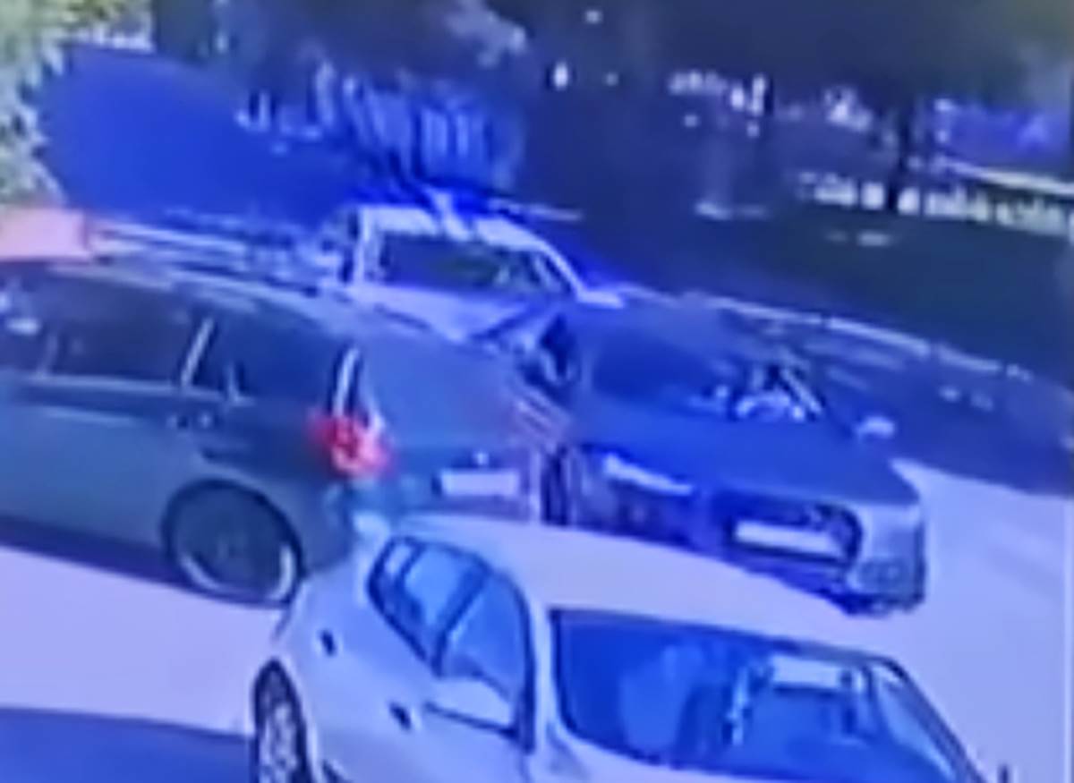 Kajosevic Damir (1).png