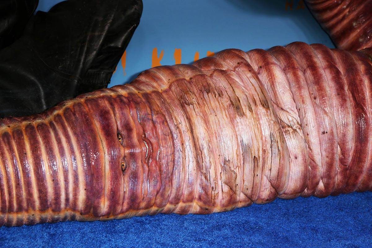 21. godišnja žurka za Noć veštica Hajdi Klum u Njujorku