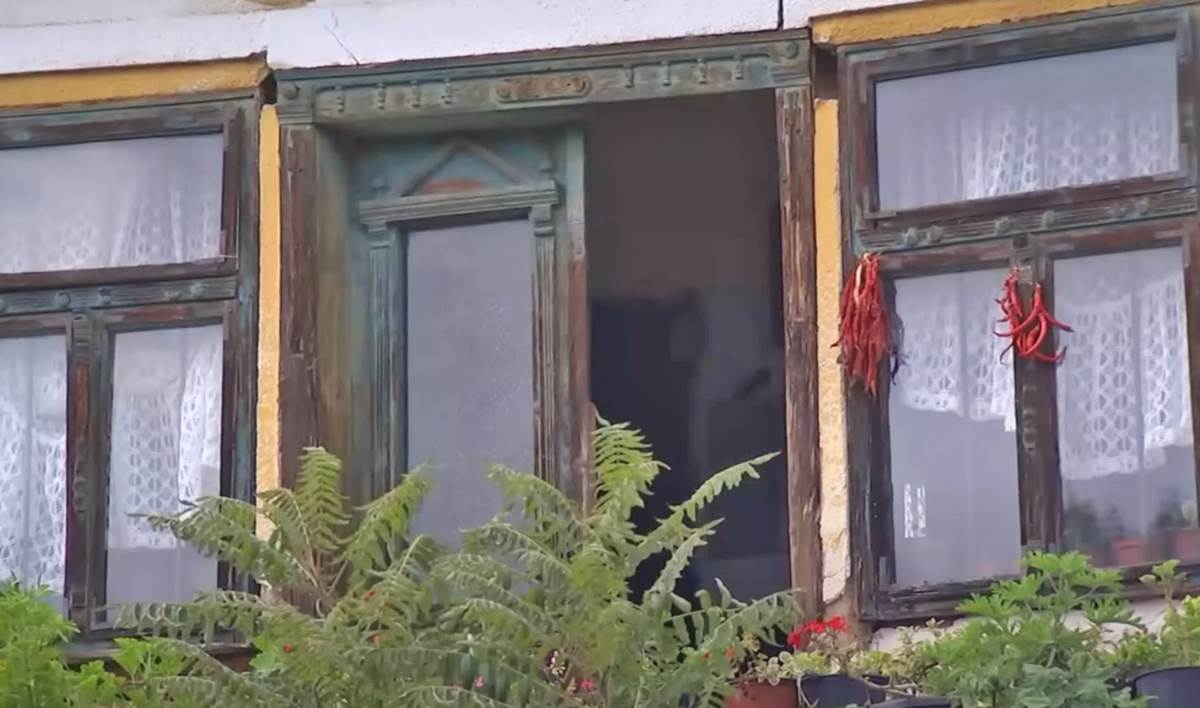 Amisi Srbija (7).png