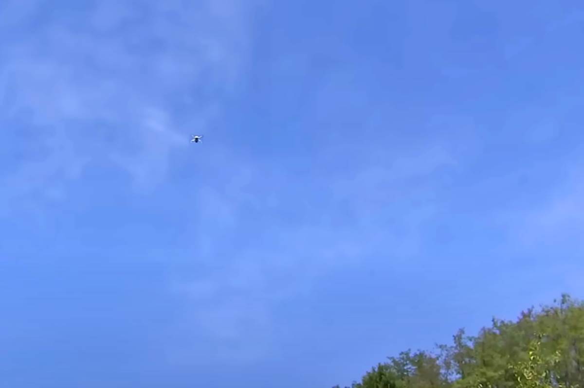 Amisi Srbija (8).png