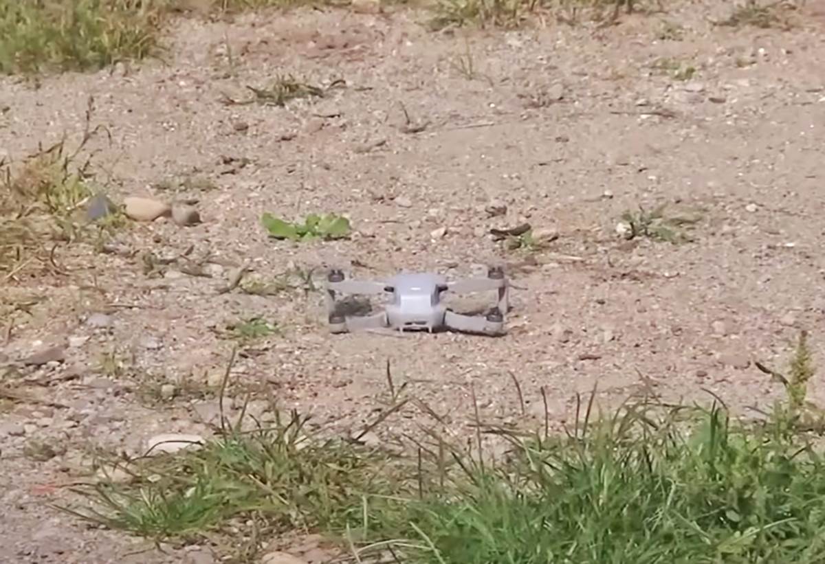 Amisi Srbija (9).png