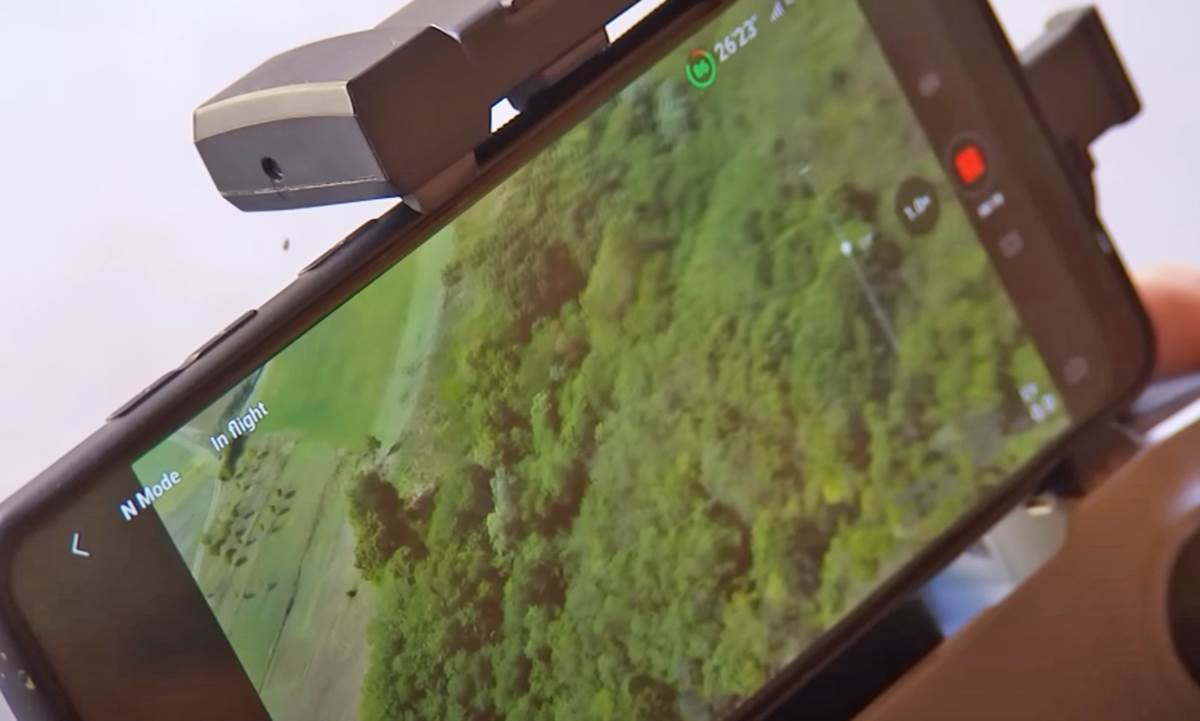 Amisi Srbija (10).png