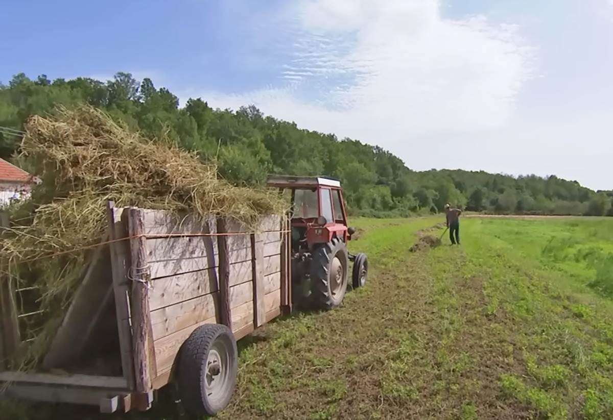 Amisi Srbija (14).png