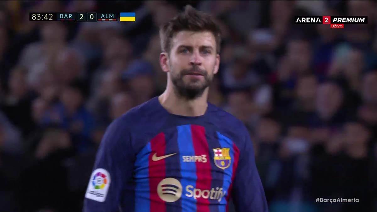 Đerar Pike kraj karijere  (7).jpg