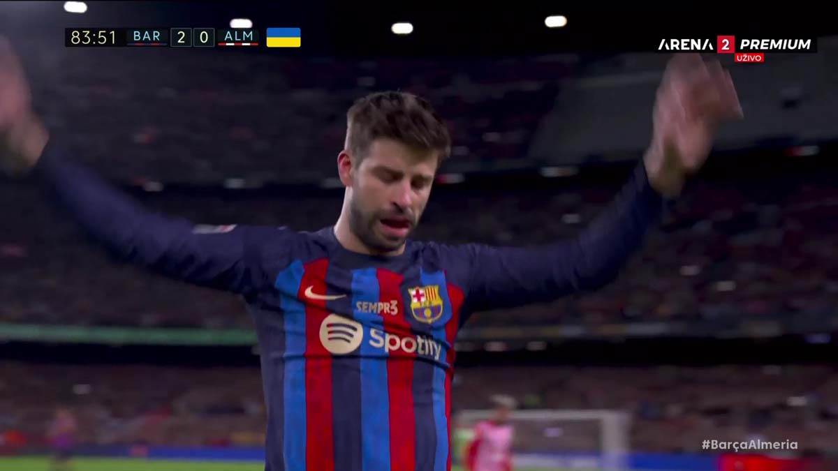 Đerar Pike kraj karijere  (9).jpg