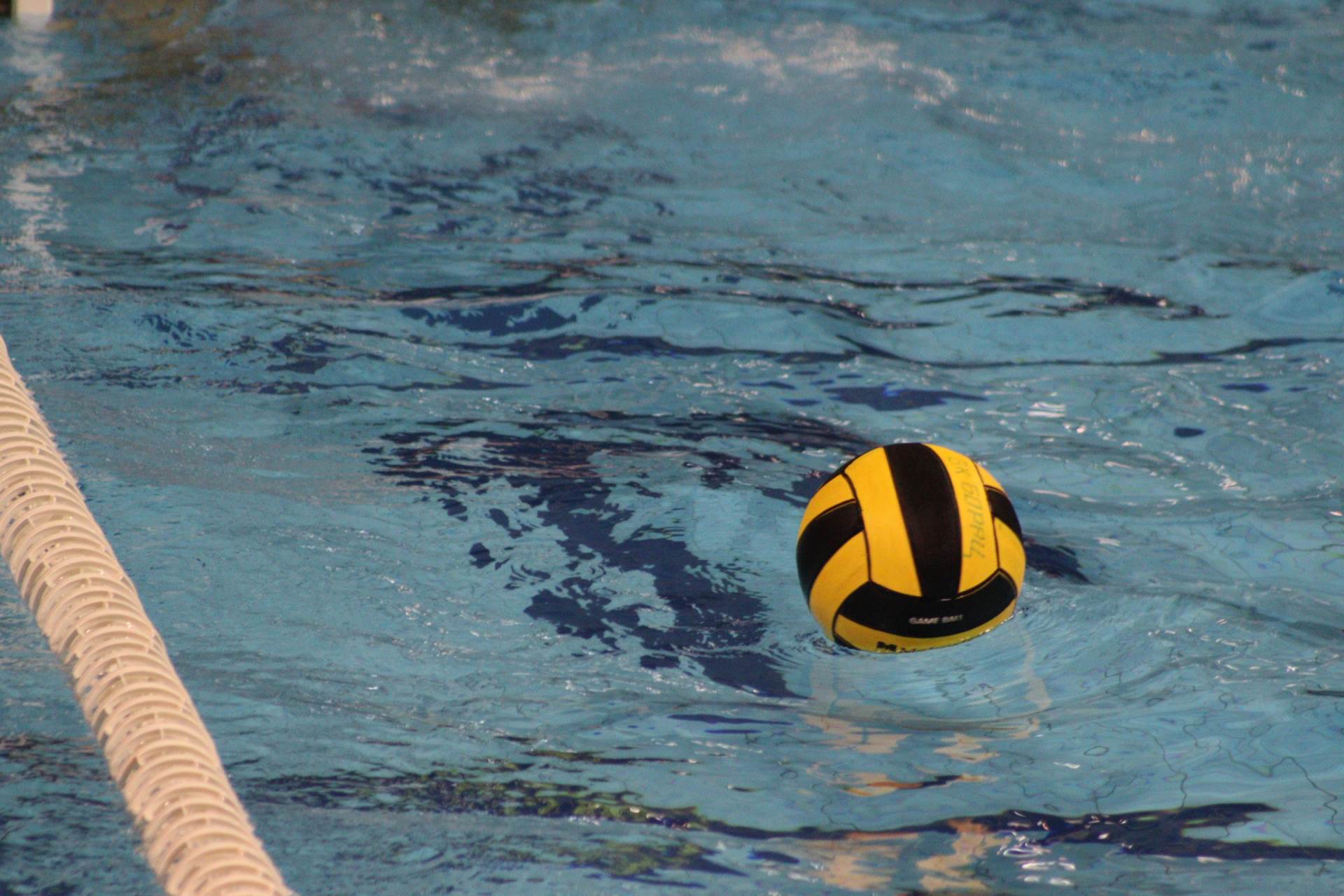 borac banja luka (13).jpeg