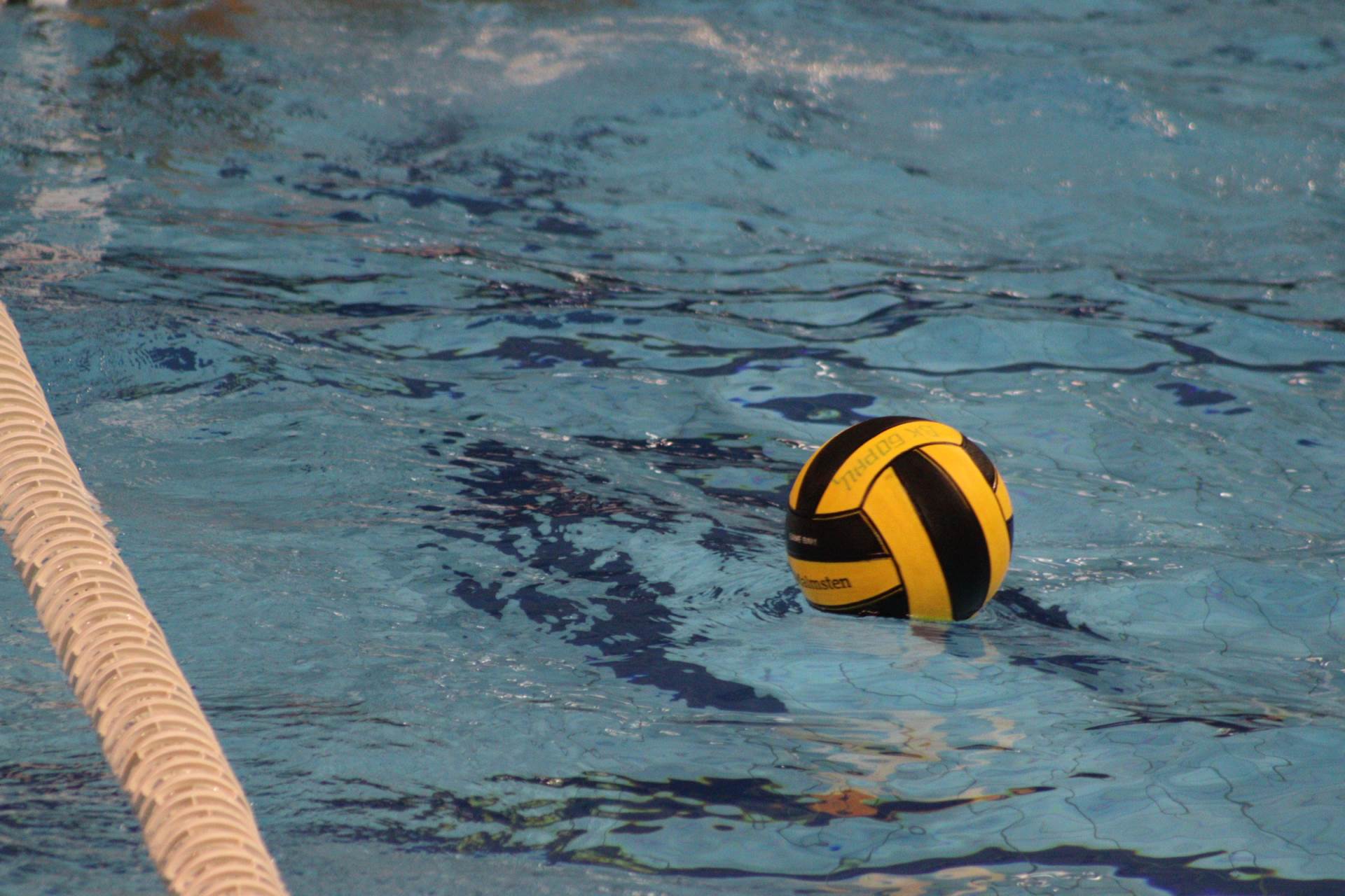 borac banja luka (14).jpeg