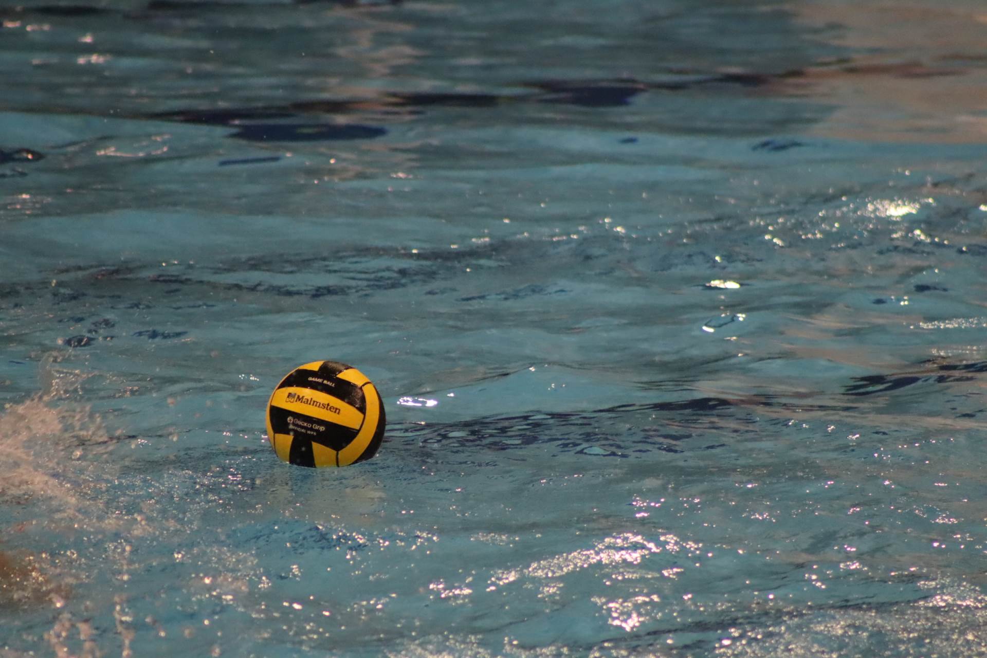 borac banja luka (26).jpeg