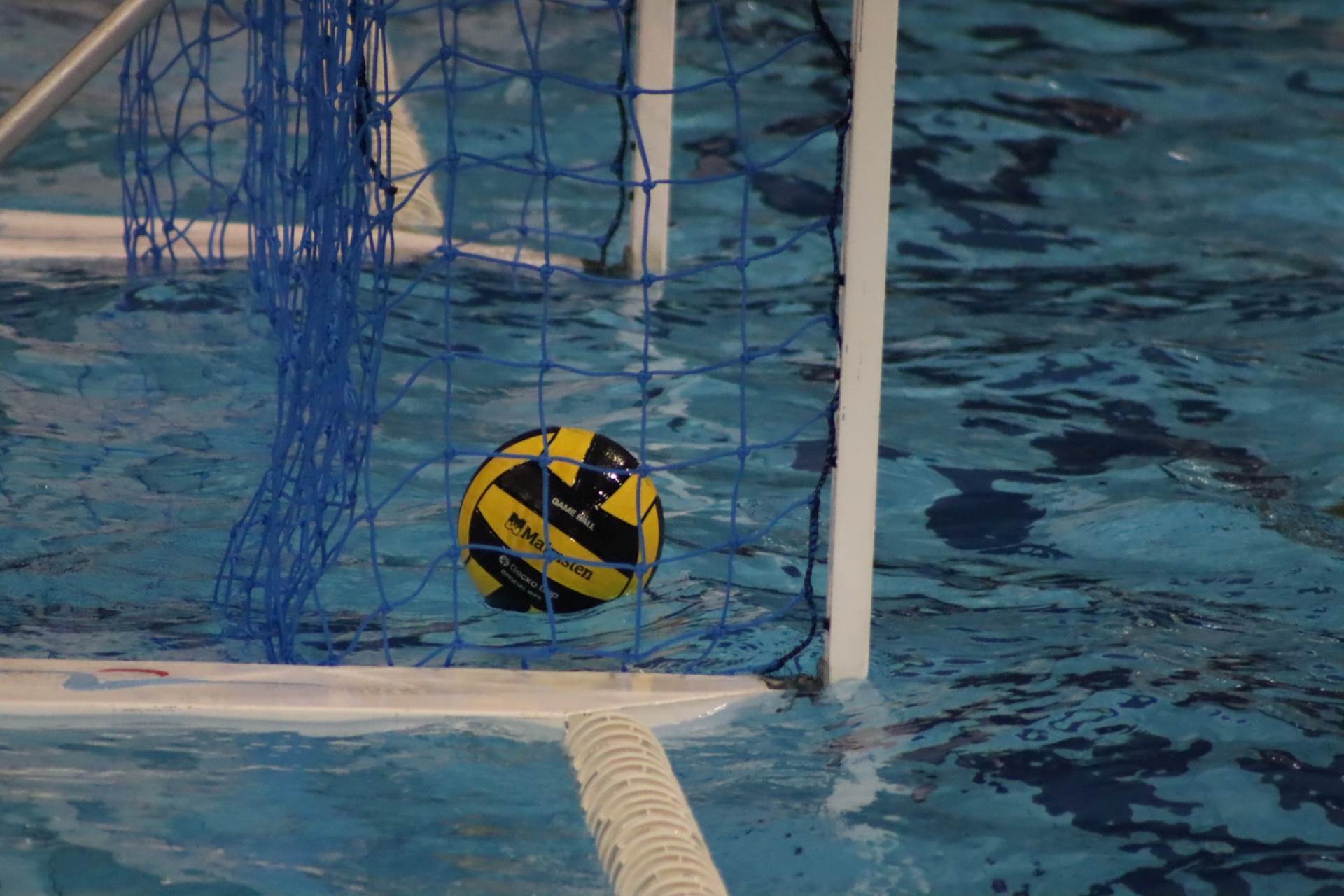 borac banja luka (34).jpeg