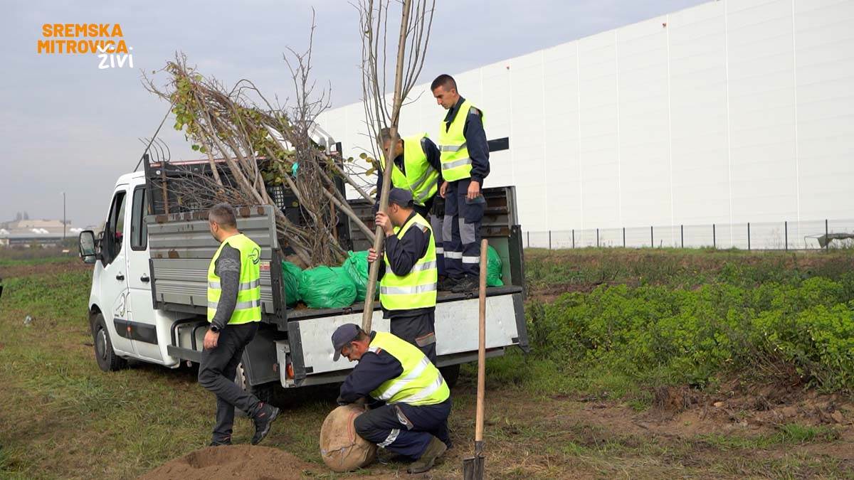 - 16x9.00_00_19_17.Still035.jpg