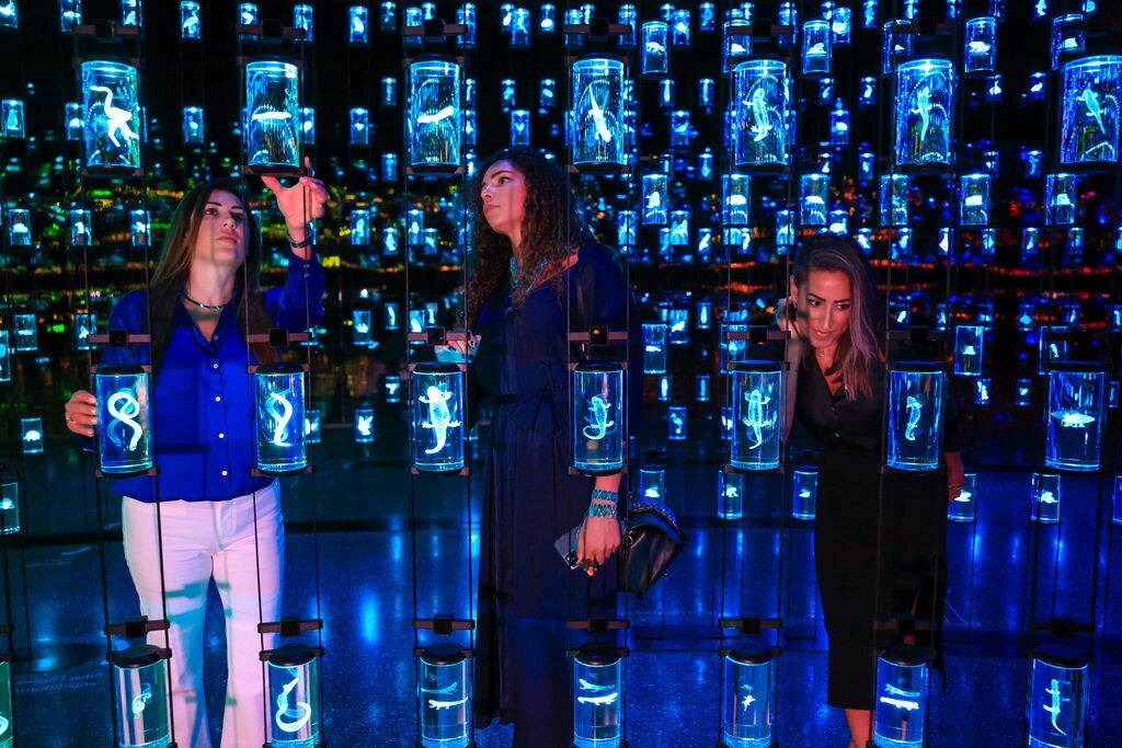 Museum of the Future_3.jpg