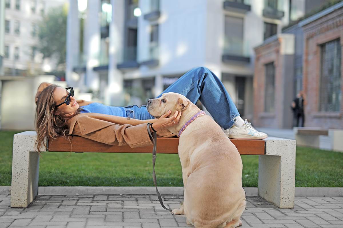 BEOGRAD JE DORĆOL.jpg