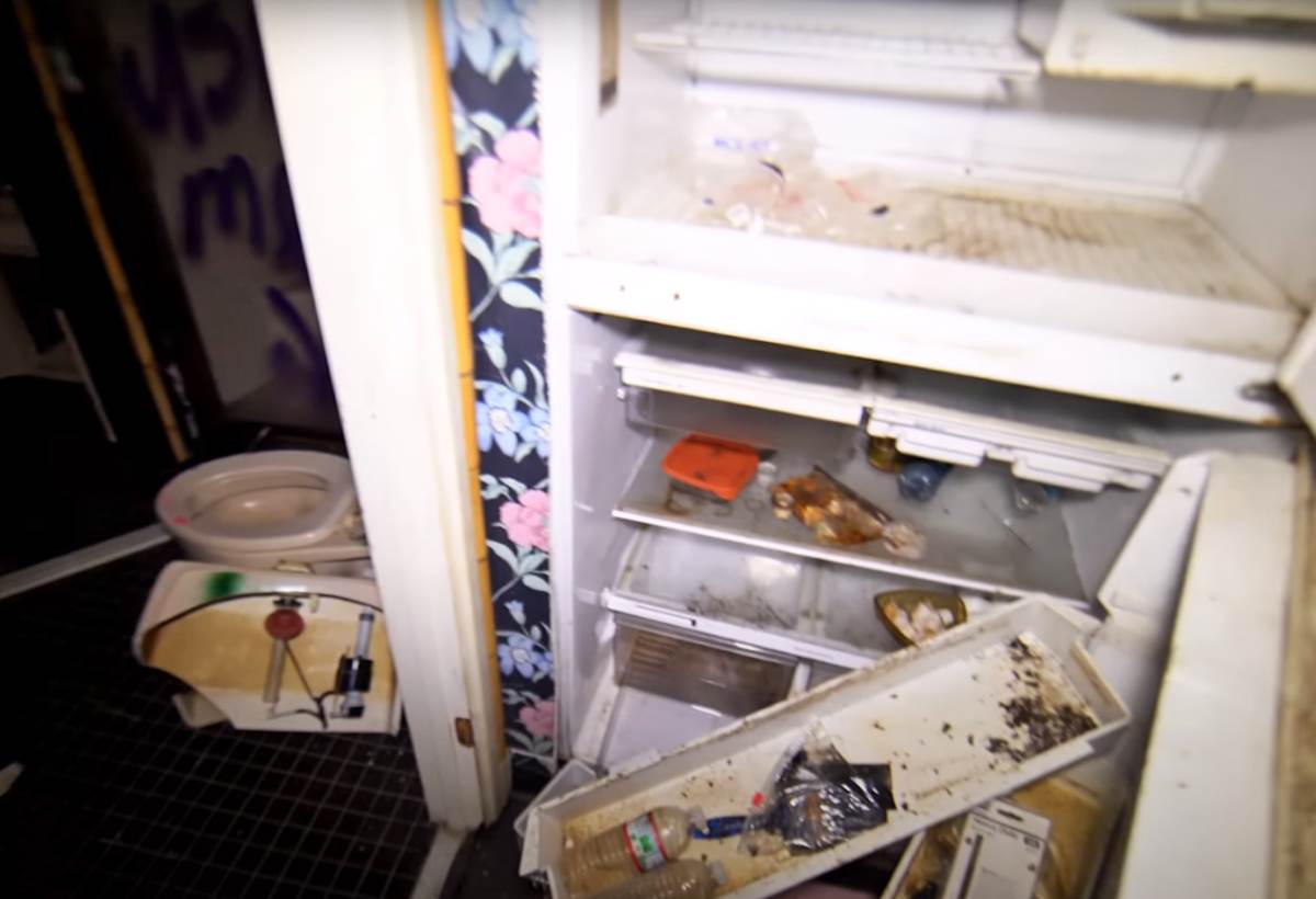 Ispovest Dženifer Saginor, Plejboj zečice o dešavanjima u vili i Hjuu Hefneru