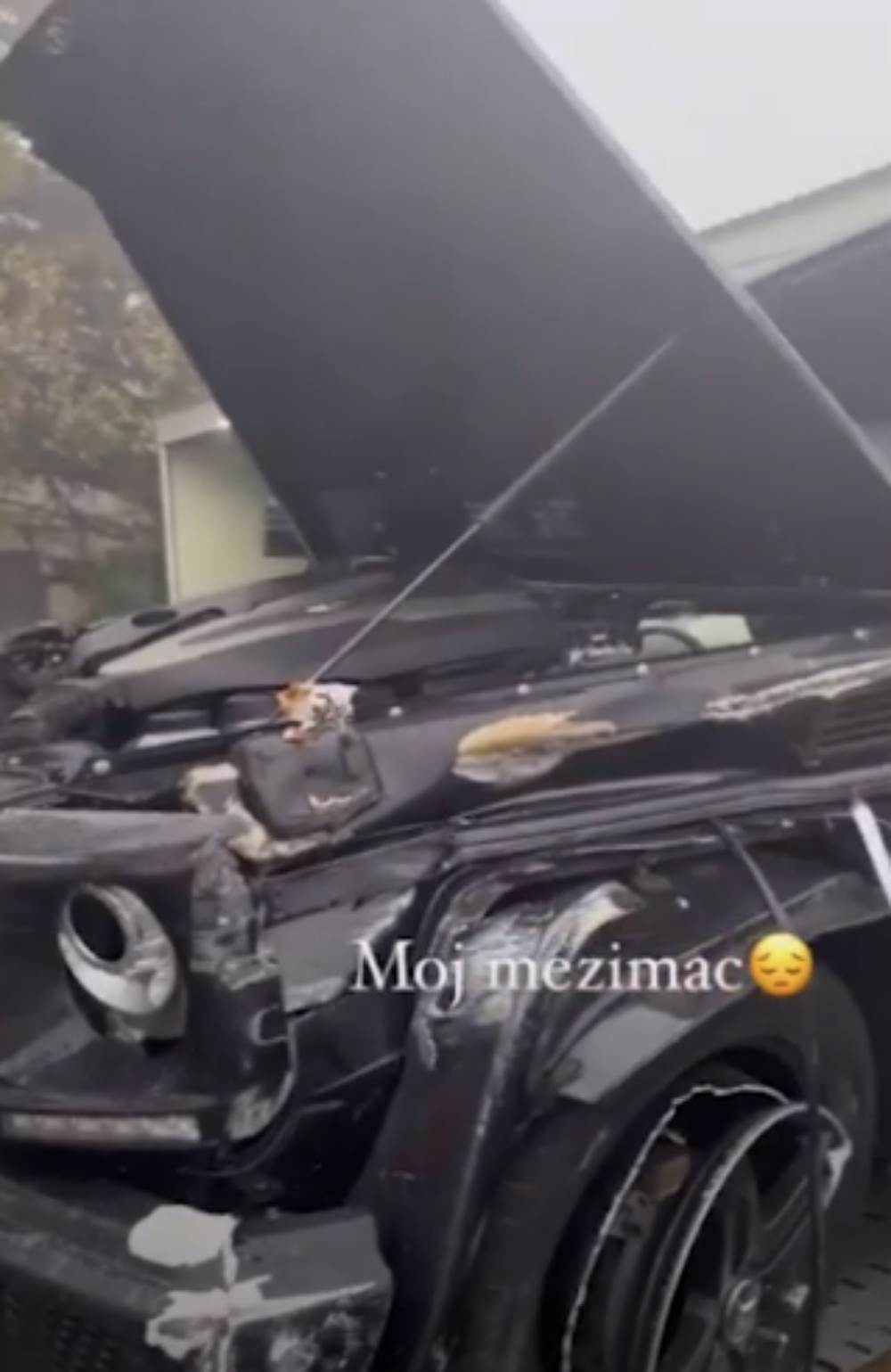 kola tamare đurić3.png