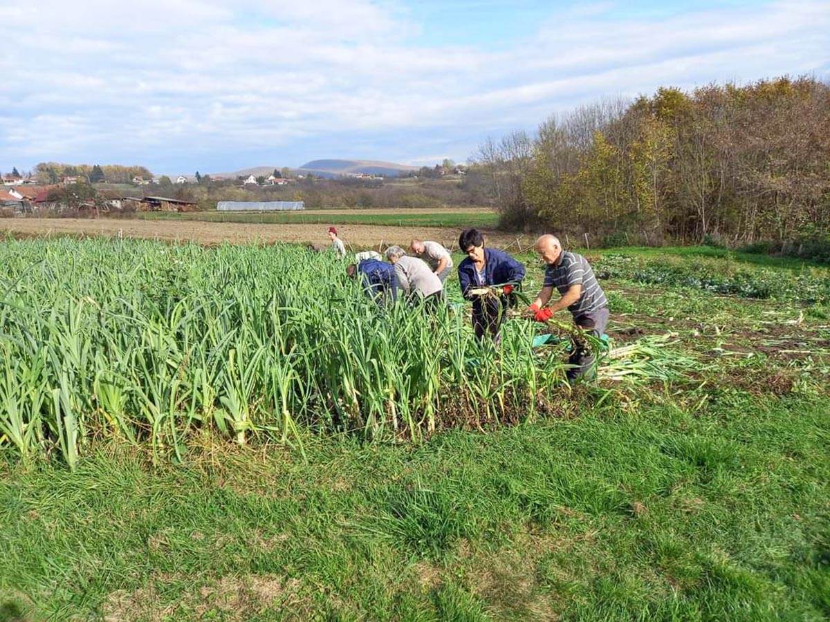 Miroslav Cacak (3).jpg
