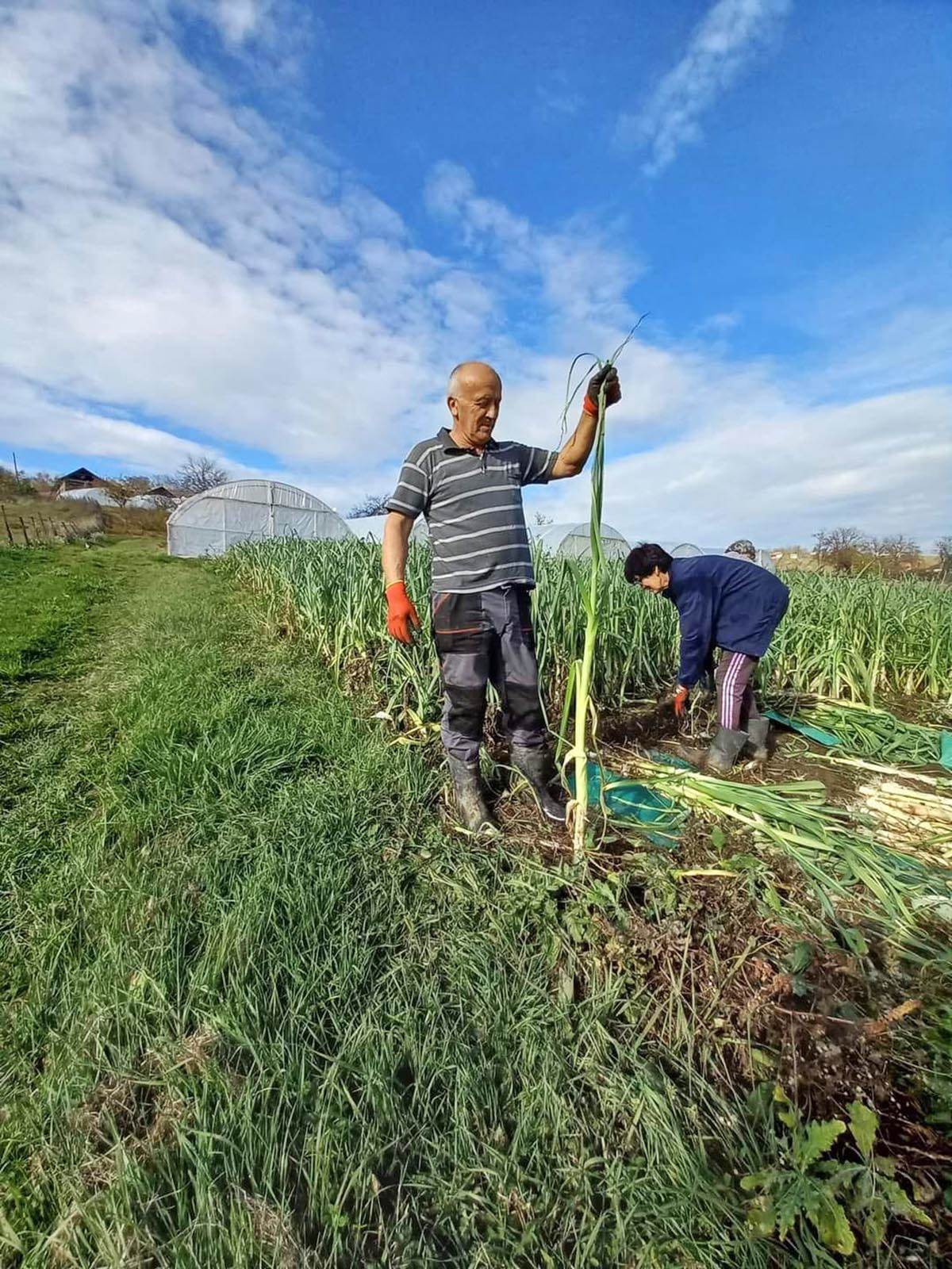 Miroslav Cacak (4).jpg