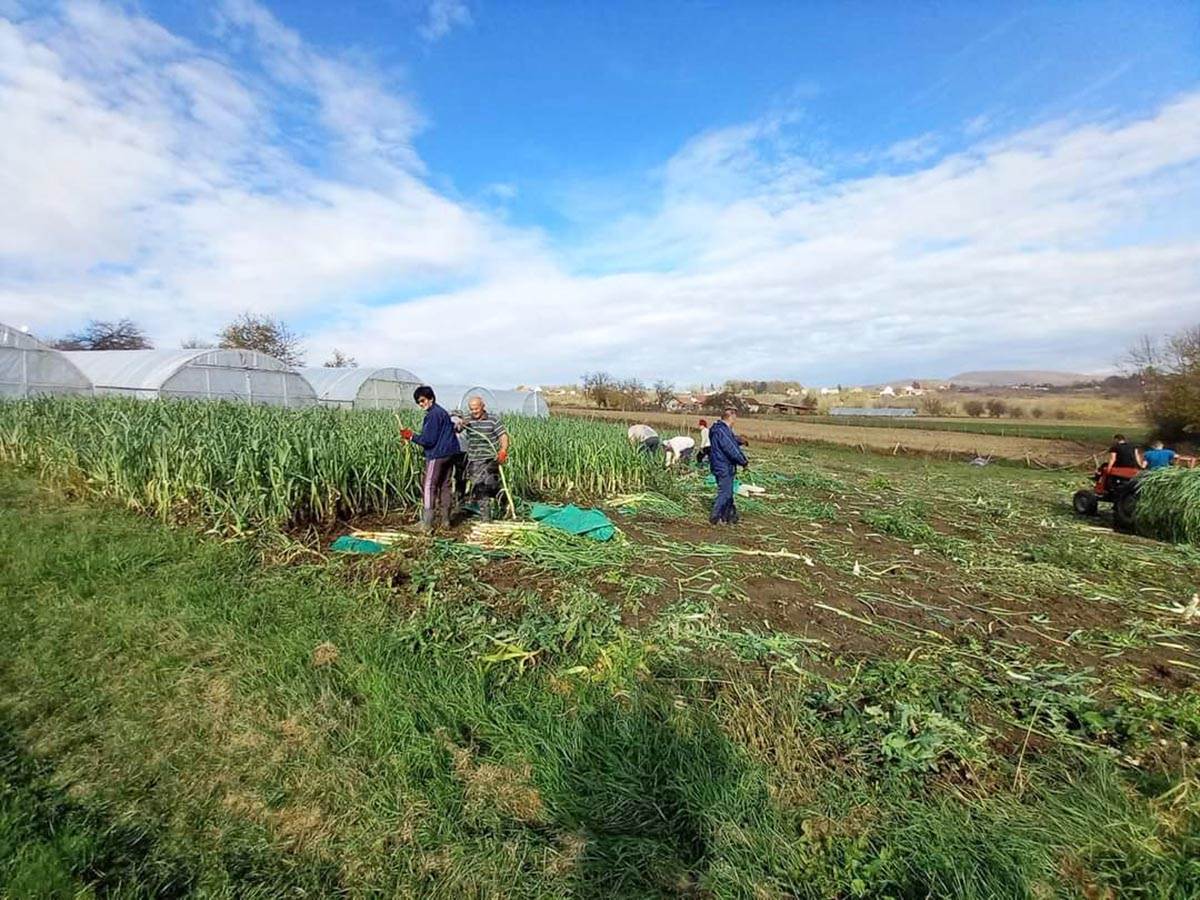 Miroslav Cacak (1).jpg