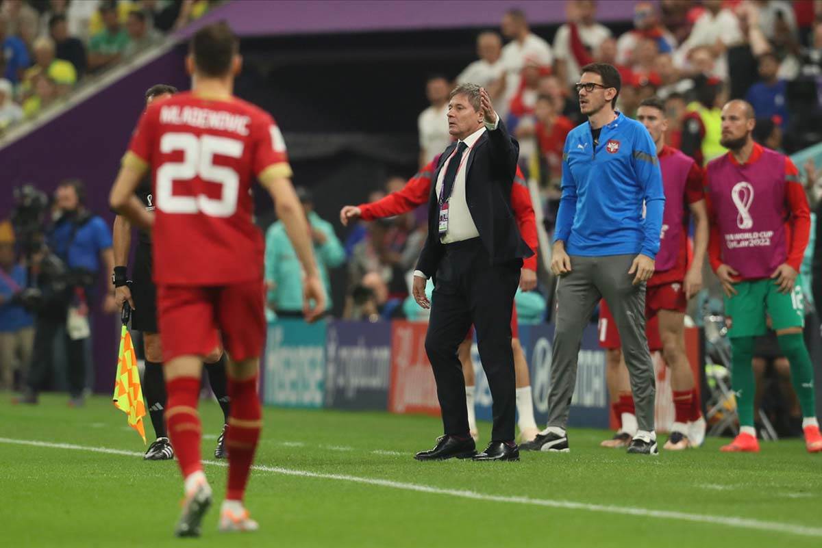 Brazil Srbija  (14).jpg