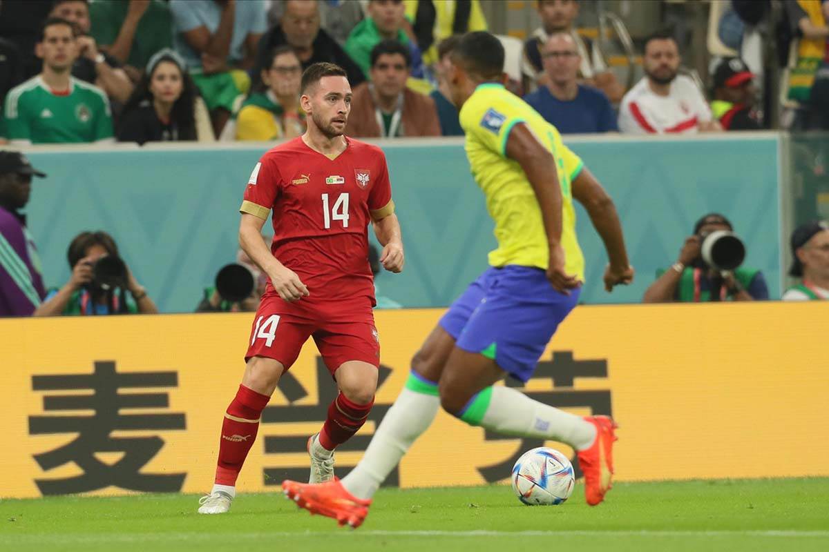 Brazil Srbija  (19).jpg