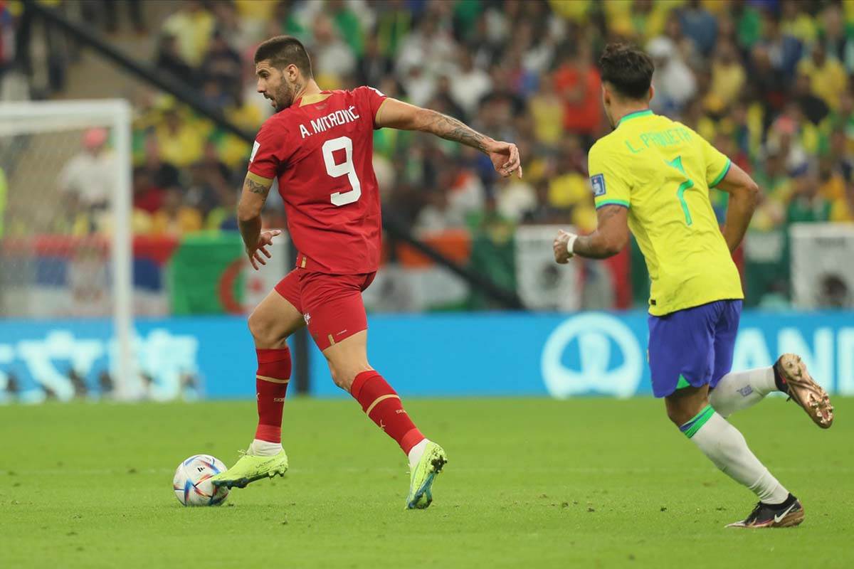 Brazil Srbija  (26).jpg