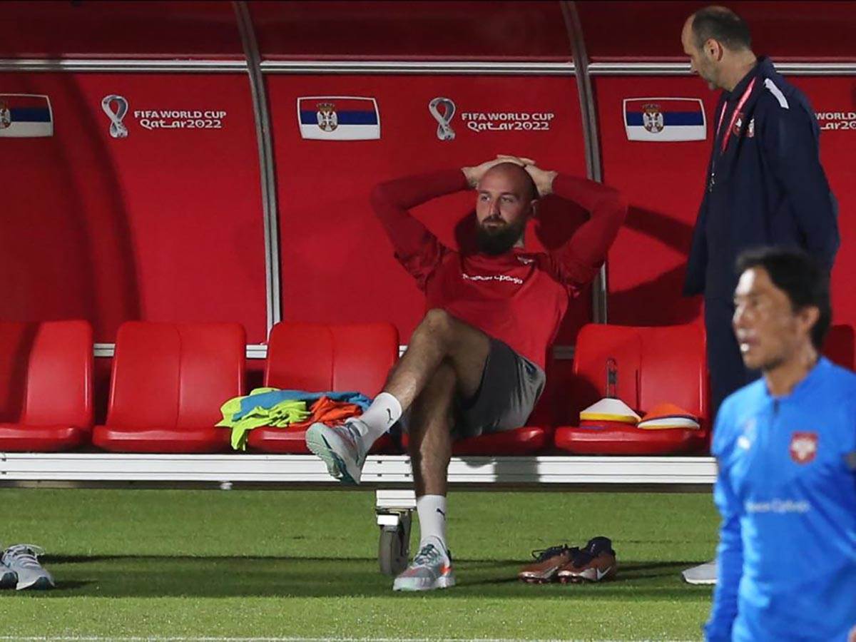 WhatsApp Image 2022-11-25 at 17.16.29.jpg