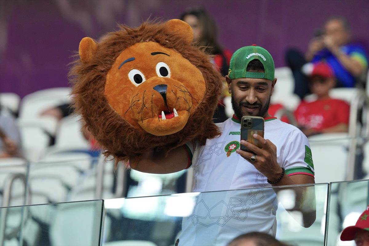 Belgija Maroko Navijači (8).jpg